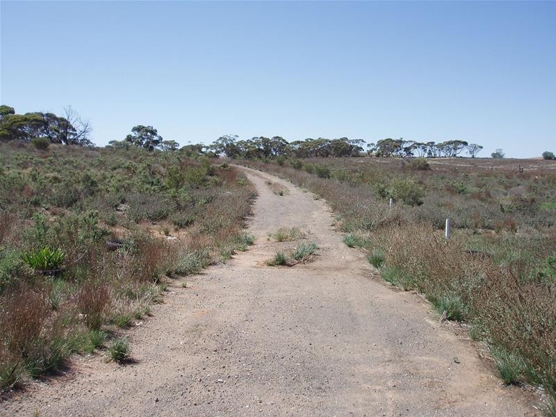 72 Rochow Road, Black Hill SA 5353