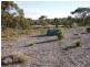 72 Rochow Road, Black Hill SA 5353