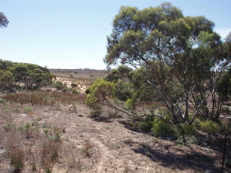 72 Rochow Road, Black Hill SA 5353