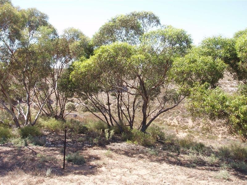 72 Rochow Road, Black Hill SA 5353