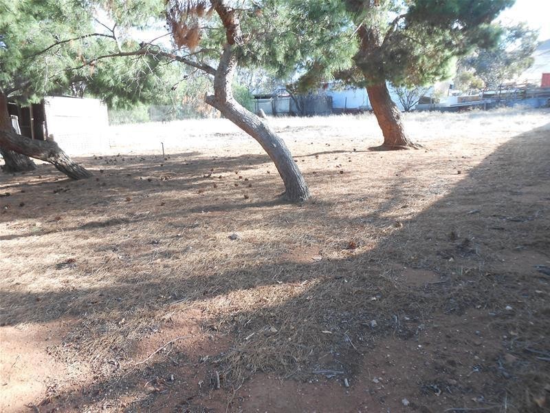 4 Reedy Creek Road, Palmer SA 5237