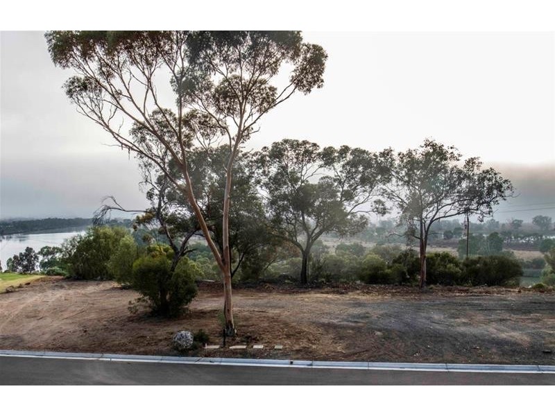 16 ‘Aruma River Resort’ Cliff View Drive, Walker Flat SA 5238