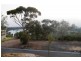 16 ‘Aruma River Resort’ Cliff View Drive, Walker Flat SA 5238
