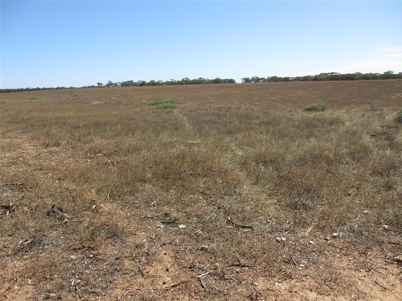 Section 30 Angle Road BROWNLOW via, Truro SA 5356