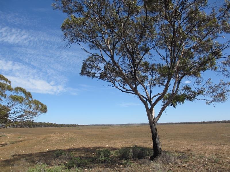 Section 30 Angle Road BROWNLOW via, Truro SA 5356