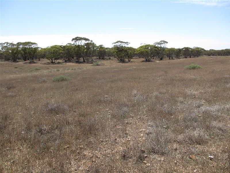 Section 30 Angle Road BROWNLOW via, Truro SA 5356