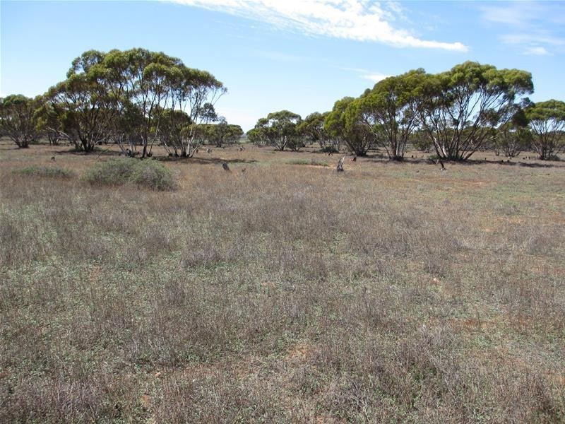 Section 30 Angle Road BROWNLOW via, Truro SA 5356