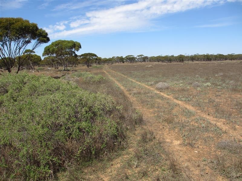 Section 30 Angle Road BROWNLOW via, Truro SA 5356