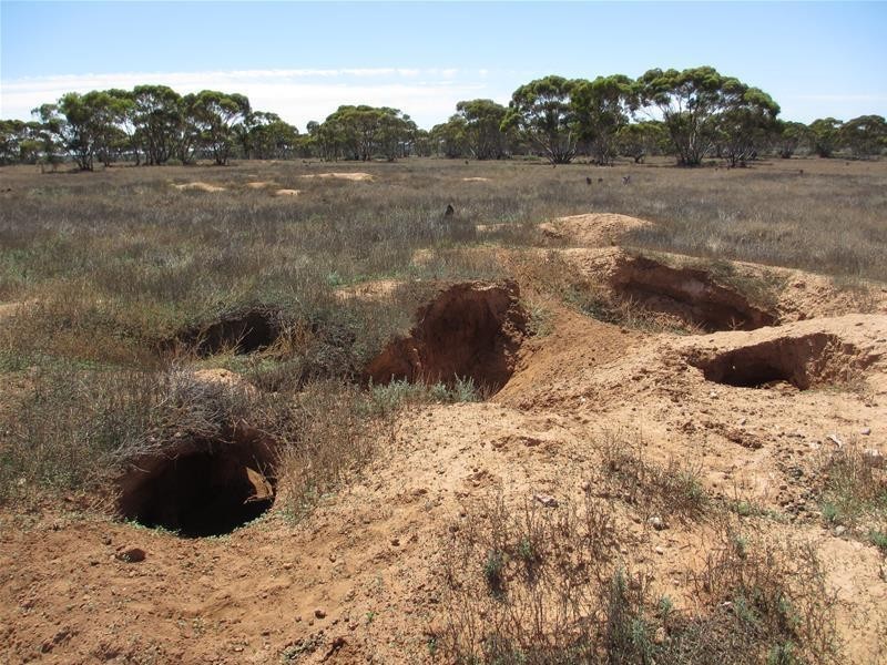 Section 30 Angle Road BROWNLOW via, Truro SA 5356