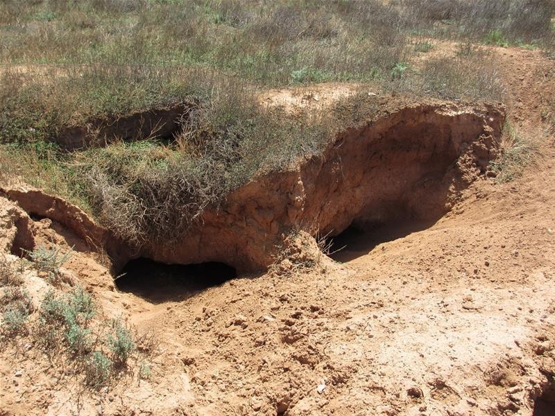 Section 30 Angle Road BROWNLOW via, Truro SA 5356