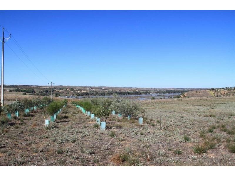 Lot 28 Shearer Heights, Mannum SA 5238