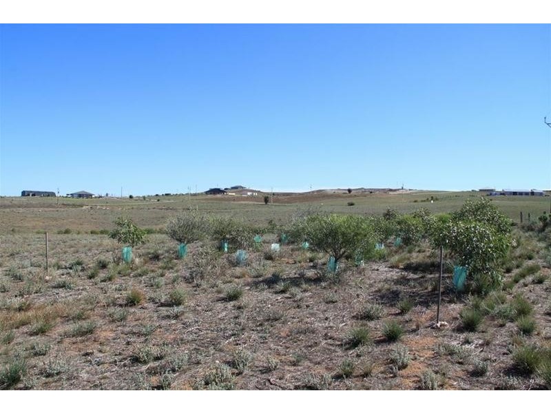 Lot 28 Shearer Heights, Mannum SA 5238
