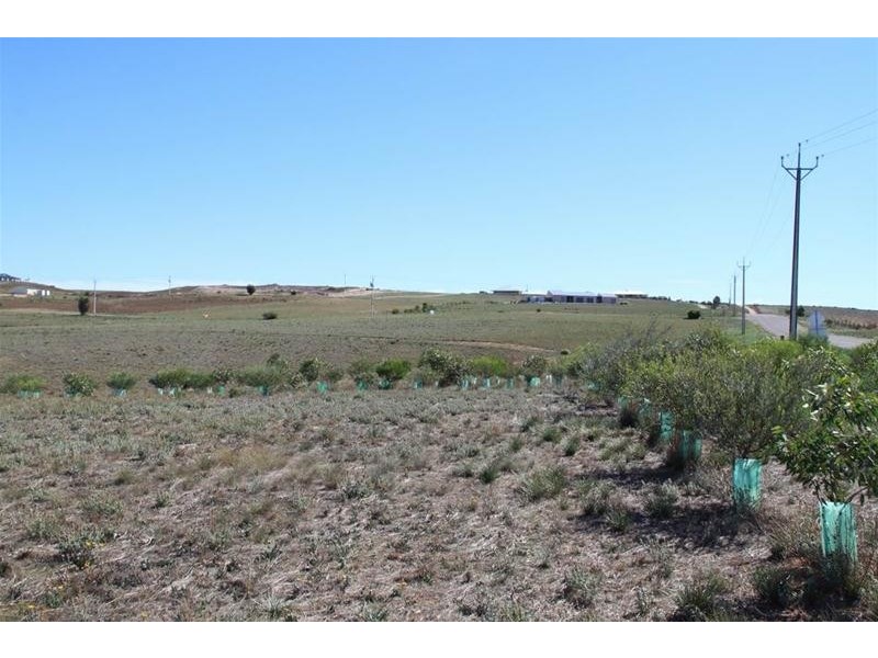 Lot 28 Shearer Heights, Mannum SA 5238