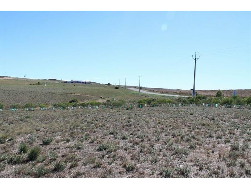 Lot 28 Shearer Heights, Mannum SA 5238