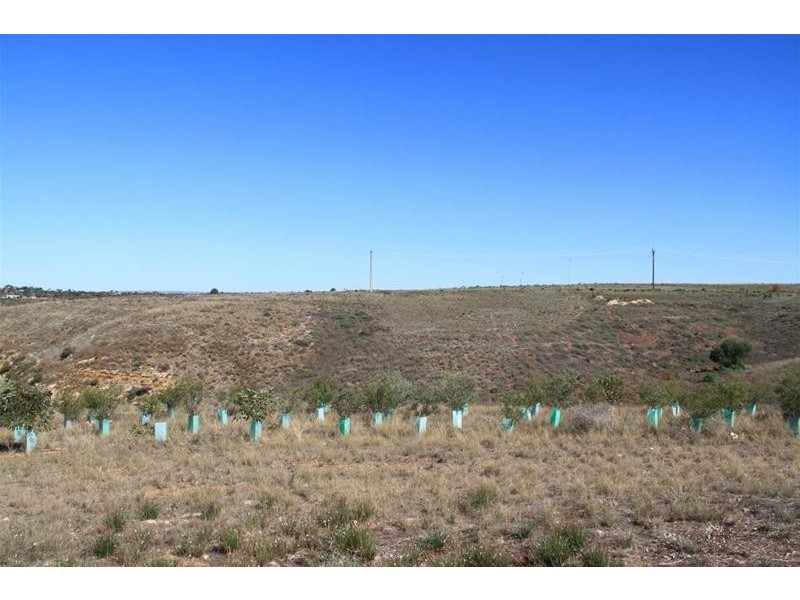 Lot 28 Shearer Heights, Mannum SA 5238