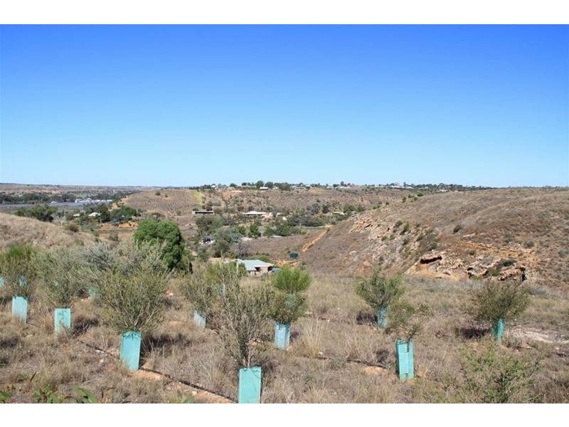 Lot 28 Shearer Heights, Mannum SA 5238