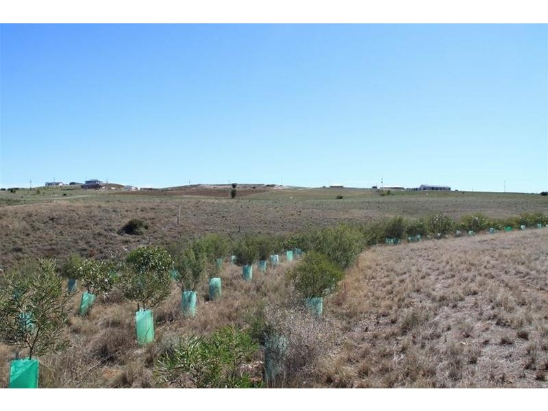 Lot 28 Shearer Heights, Mannum SA 5238