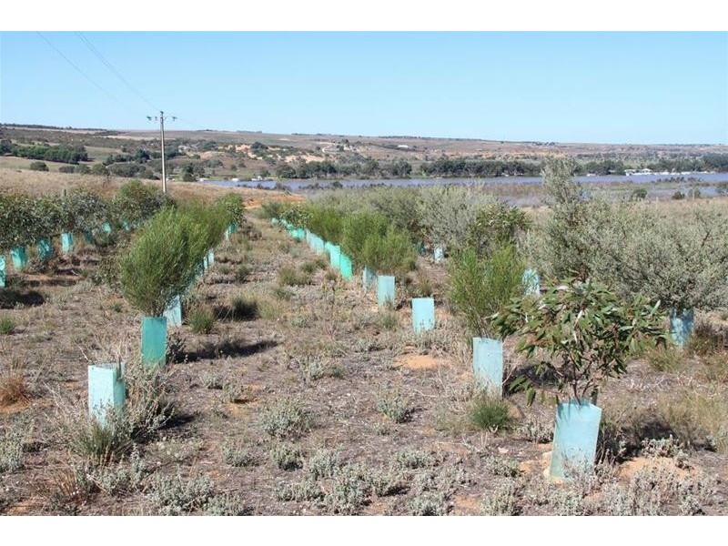 Lot 28 Shearer Heights, Mannum SA 5238