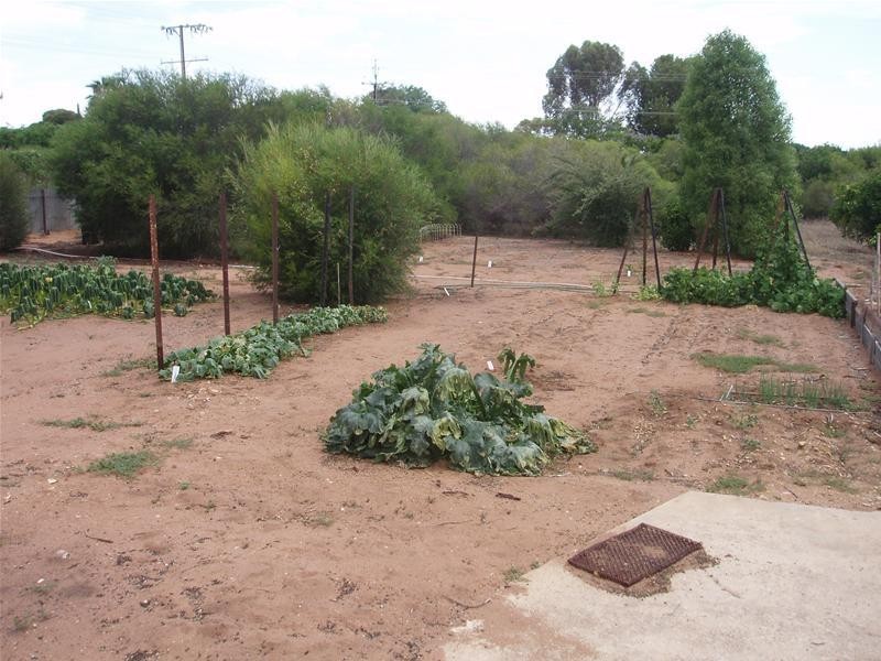 2 Showground Road, Swan Reach SA 5354