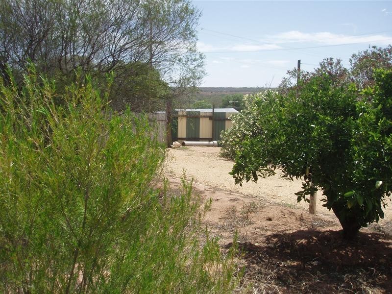 2 Showground Road, Swan Reach SA 5354