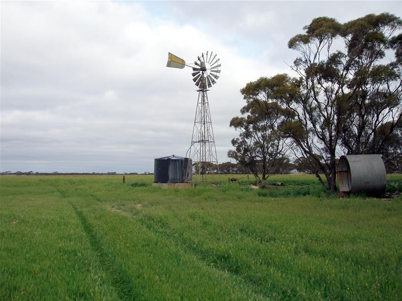 Section 258 Falkenberg Road, Black Hill SA 5353