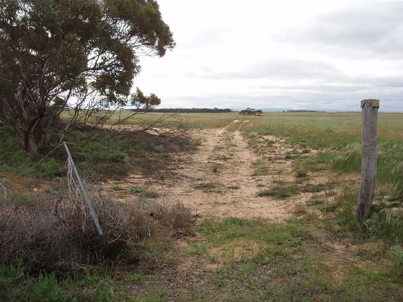 Section 258 Falkenberg Road, Black Hill SA 5353