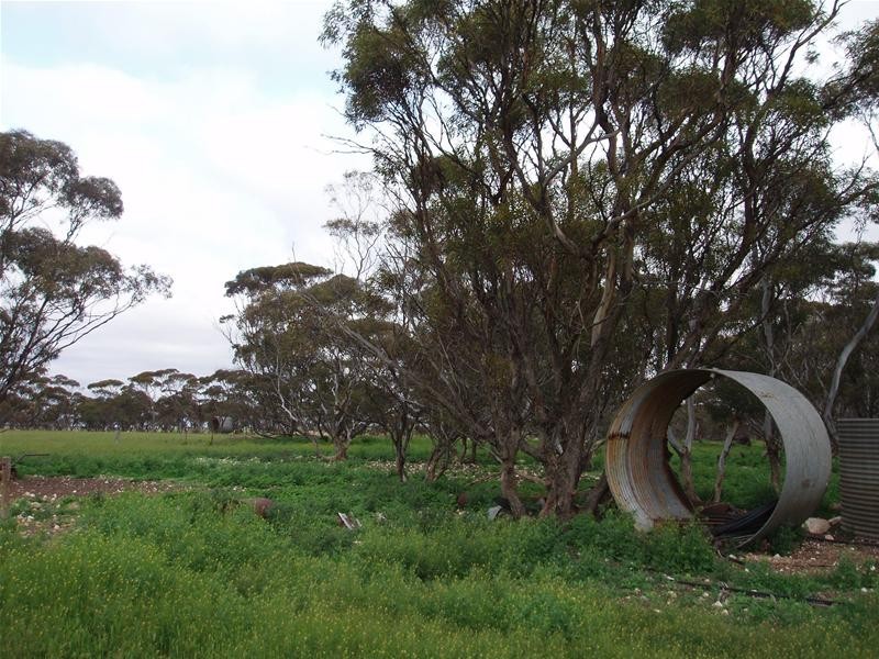 Section 258 Falkenberg Road, Black Hill SA 5353