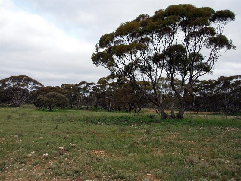 Section 258 Falkenberg Road, Black Hill SA 5353