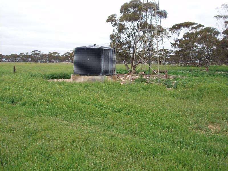 Section 258 Falkenberg Road, Black Hill SA 5353