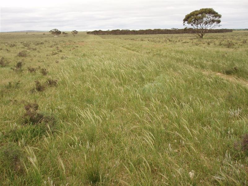 Section 258 Falkenberg Road, Black Hill SA 5353