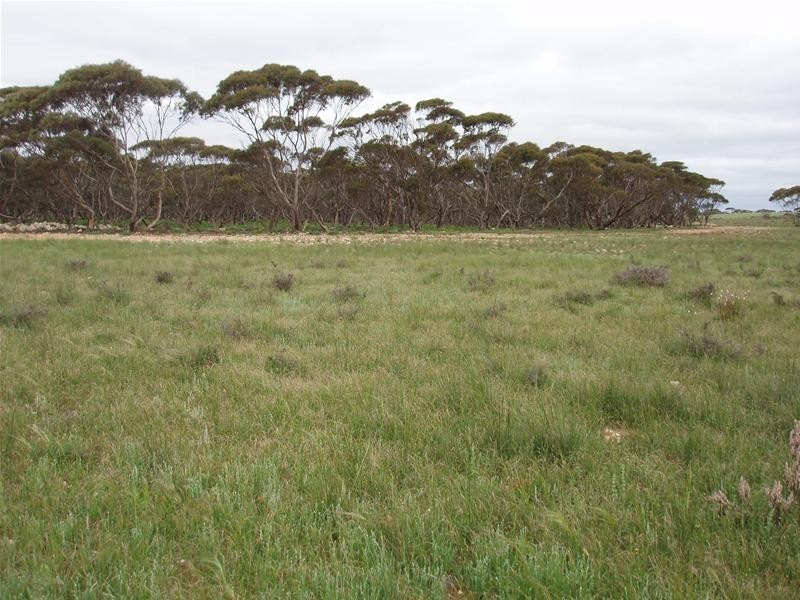 Section 258 Falkenberg Road, Black Hill SA 5353