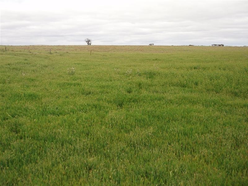 Section 258 Falkenberg Road, Black Hill SA 5353