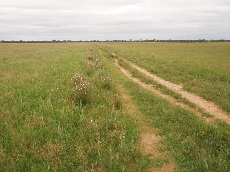 Section 258 Falkenberg Road, Black Hill SA 5353