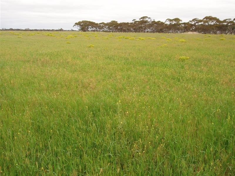 Section 258 Falkenberg Road, Black Hill SA 5353