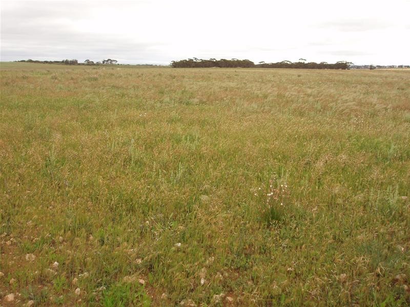 Section 258 Falkenberg Road, Black Hill SA 5353