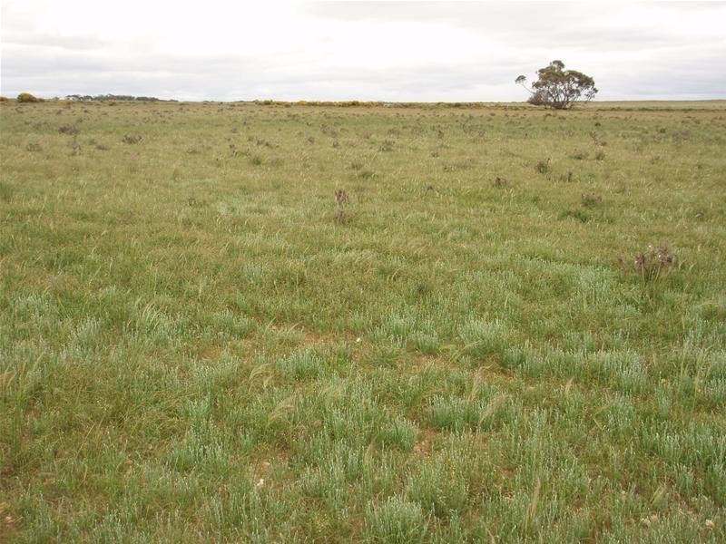 Section 258 Falkenberg Road, Black Hill SA 5353