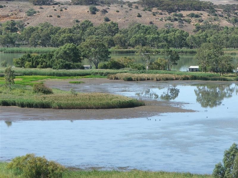 467 Purnong Road, Mannum SA 5238