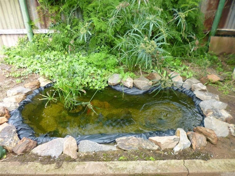 18 Berryman Avenue, Mannum SA 5238