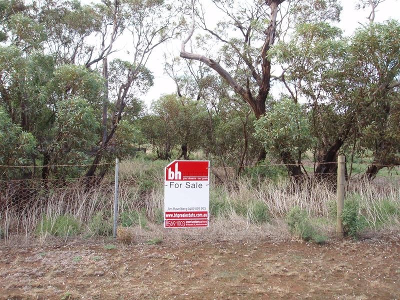 47-50 Swan Reach Road, Sedan SA 5353