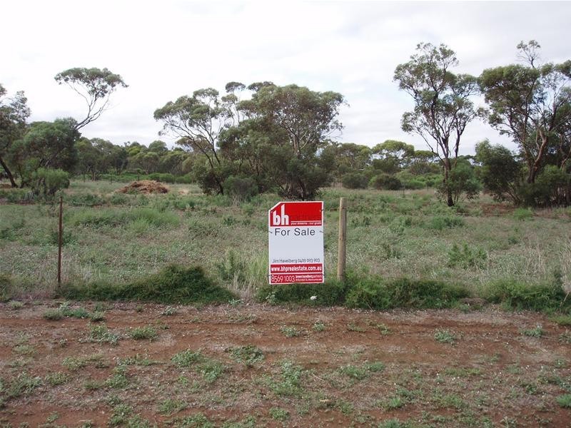 47-50 Swan Reach Road, Sedan SA 5353