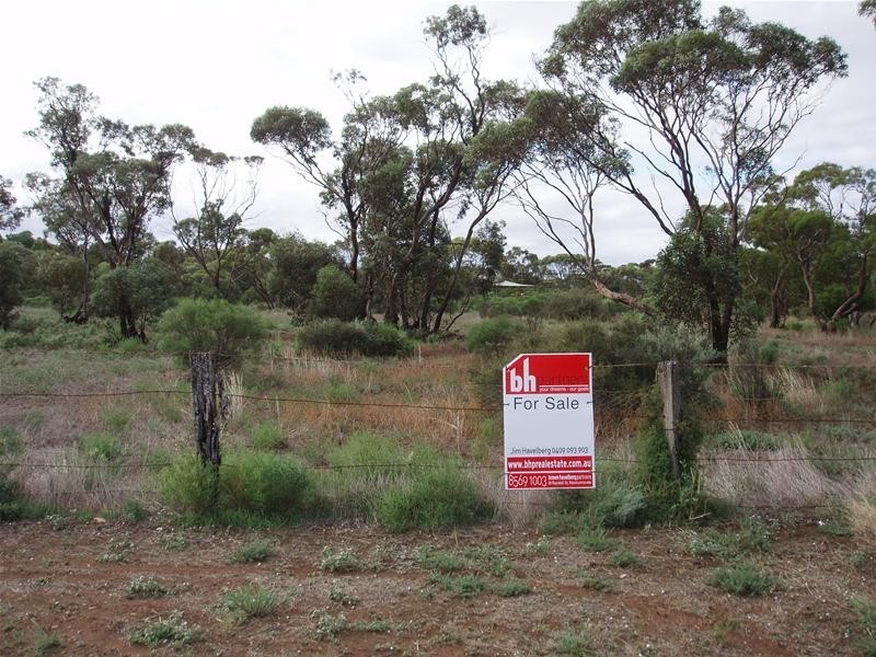 47-50 Swan Reach Road, Sedan SA 5353