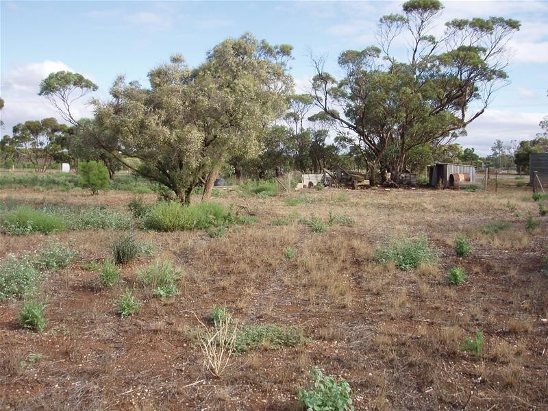 47-50 Swan Reach Road, Sedan SA 5353