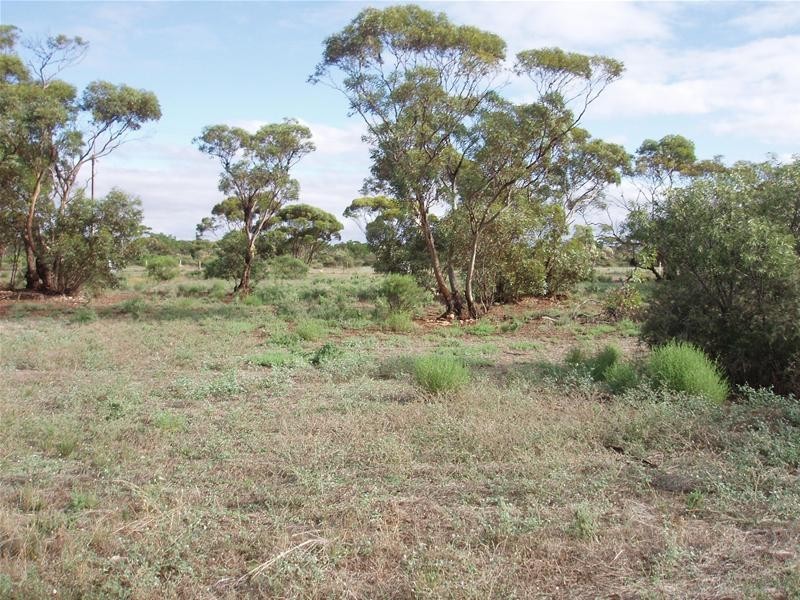 47-50 Swan Reach Road, Sedan SA 5353