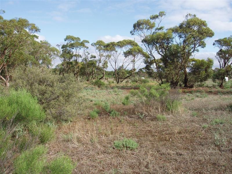 47-50 Swan Reach Road, Sedan SA 5353