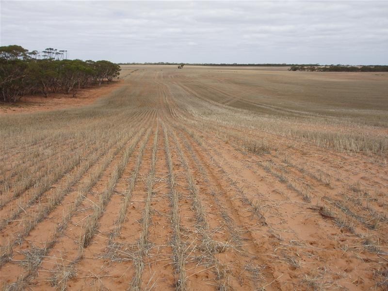 ‘May-Lee’ Maggea Road BOOLGUN via, Waikerie SA 5330