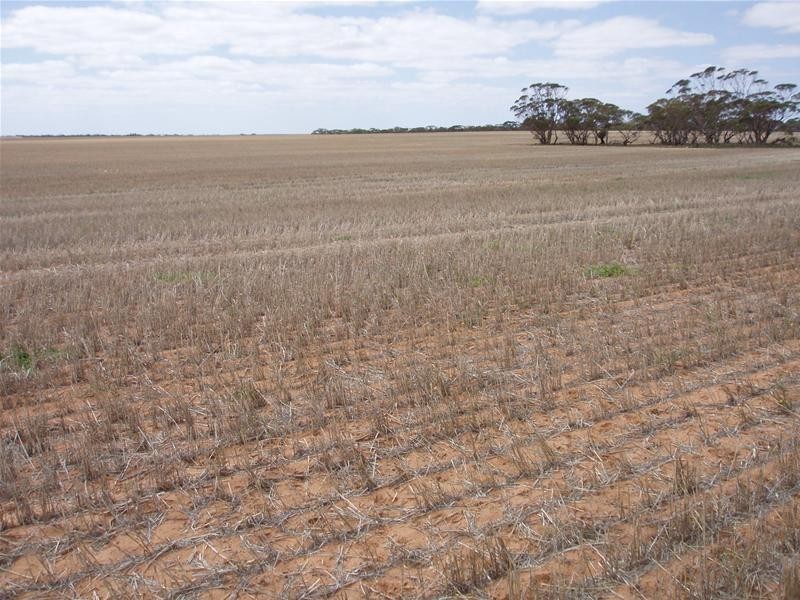 ‘May-Lee’ Maggea Road BOOLGUN via, Waikerie SA 5330