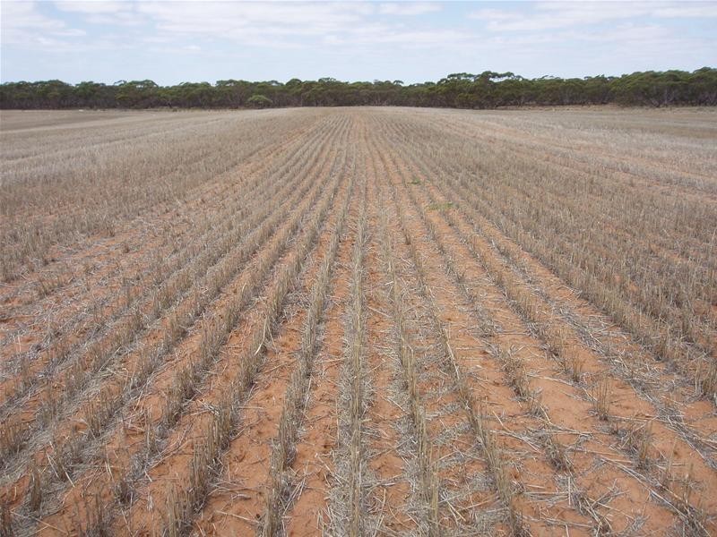 ‘May-Lee’ Maggea Road BOOLGUN via, Waikerie SA 5330