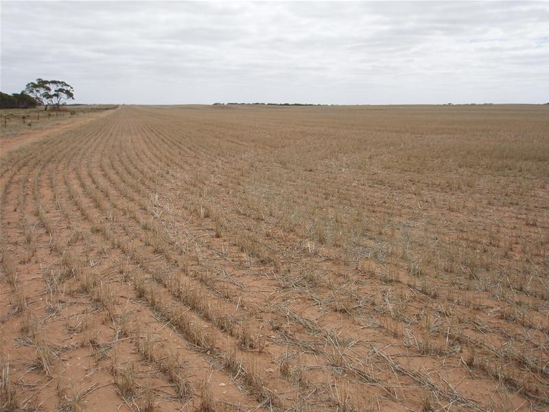 ‘May-Lee’ Maggea Road BOOLGUN via, Waikerie SA 5330