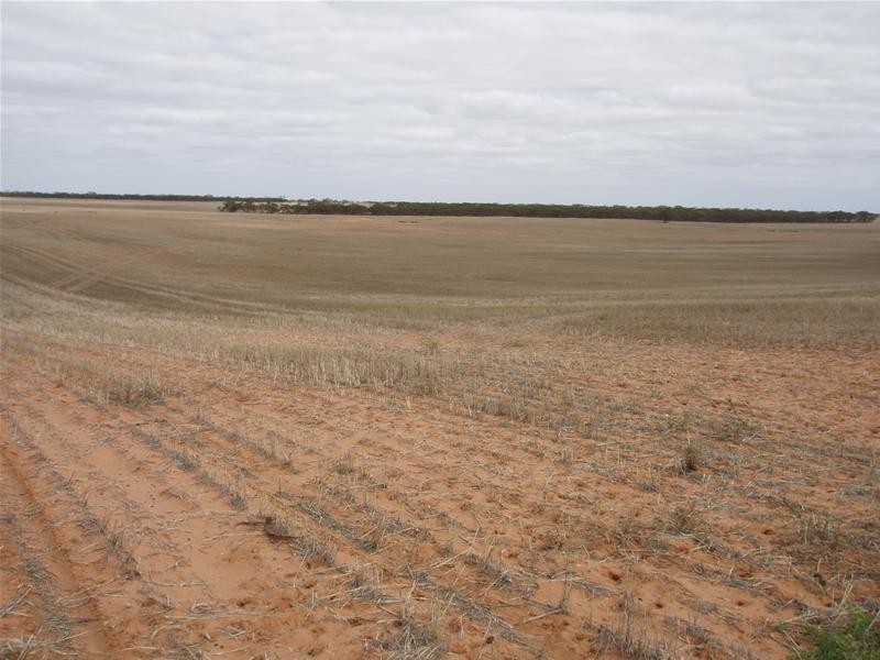 ‘May-Lee’ Maggea Road BOOLGUN via, Waikerie SA 5330