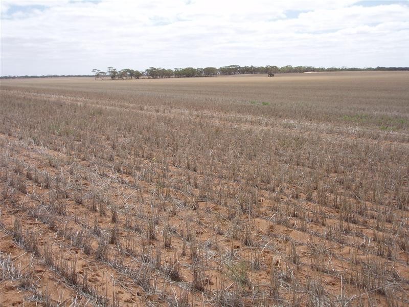 ‘May-Lee’ Maggea Road BOOLGUN via, Waikerie SA 5330